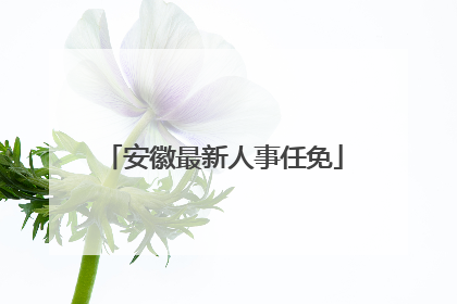 安徽最新人事任免