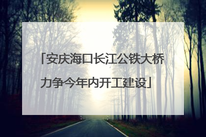 安庆海口长江公铁大桥力争今年内开工建设