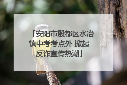 安阳市殷都区水冶镇中考考点外 掀起反诈宣传热潮