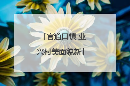 官道口镇 业兴村美面貌新