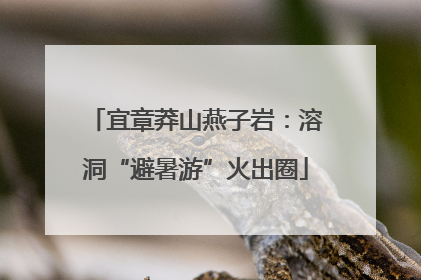 宜章莽山燕子岩：溶洞“避暑游”火出圈