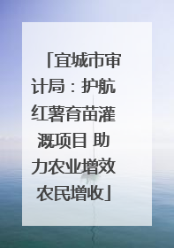 宜城市审计局：护航红薯育苗灌溉项目 助力农业增效农民增收