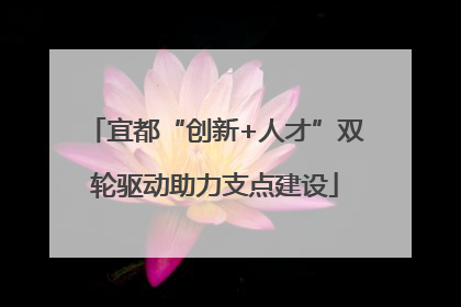 宜都“创新+人才”双轮驱动助力支点建设