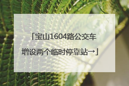 宝山1604路公交车增设两个临时停靠站→