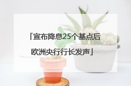宣布降息25个基点后 欧洲央行行长发声