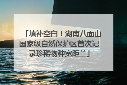 填补空白！湖南八面山国家级自然保护区首次记录珍稀物种宽距兰