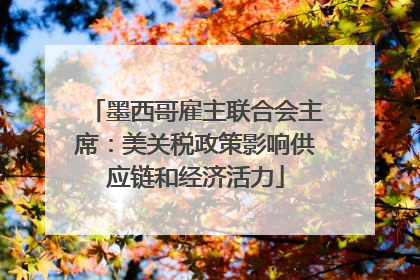 墨西哥雇主联合会主席：美关税政策影响供应链和经济活力