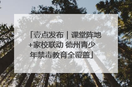 壹点发布｜课堂阵地+家校联动 德州青少年禁毒教育全覆盖