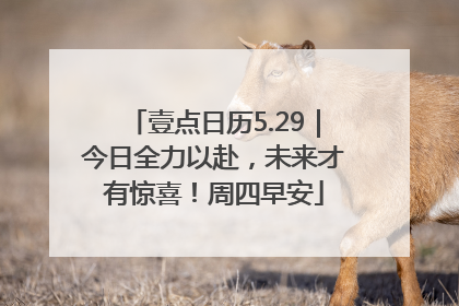 壹点日历5.29｜今日全力以赴，未来才有惊喜！周四早安