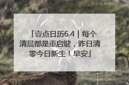 壹点日历6.4｜每个清晨都是重启键，昨日清零今日新生！早安