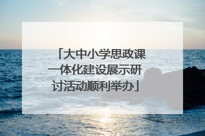 大中小学思政课一体化建设展示研讨活动顺利举办