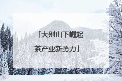 大别山下崛起茶产业新势力