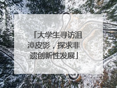 大学生寻访沮漳皮影，探求非遗创新性发展