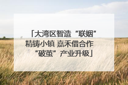 大湾区智造“联姻”精铸小镇 嘉禾借合作“破茧”产业升级