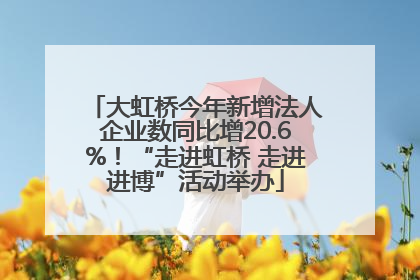 大虹桥今年新增法人企业数同比增20.6%！“走进虹桥 走进进博”活动举办