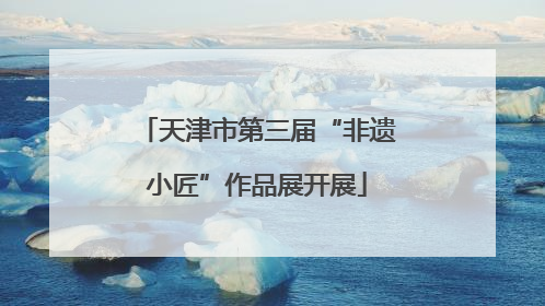 天津市第三届“非遗小匠”作品展开展