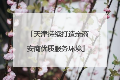 天津持续打造亲商安商优质服务环境