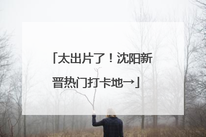 太出片了！沈阳新晋热门打卡地→