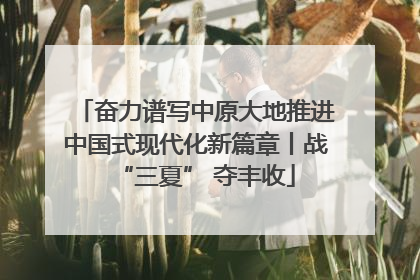 奋力谱写中原大地推进中国式现代化新篇章丨战“三夏” 夺丰收