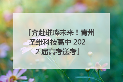奔赴璀璨未来！青州圣维科技高中 2022 届高考送考