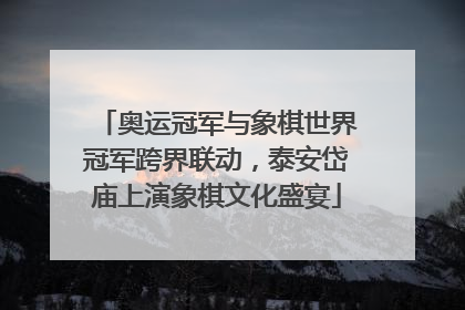 奥运冠军与象棋世界冠军跨界联动，泰安岱庙上演象棋文化盛宴