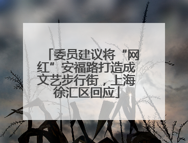 委员建议将“网红”安福路打造成文艺步行街，上海徐汇区回应