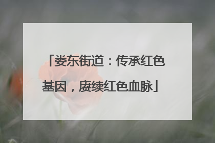 娄东街道：传承红色基因，赓续红色血脉