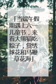 当端午假期遇上六一儿童节，来看大熊猫吃粽子，赏绣球花和马鞭草花海