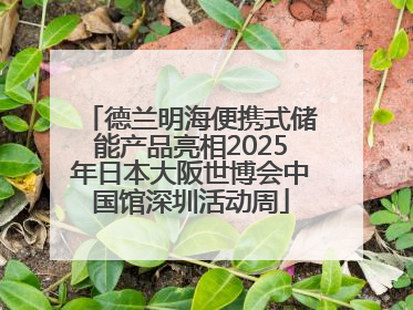 德兰明海便携式储能产品亮相2025年日本大阪世博会中国馆深圳活动周