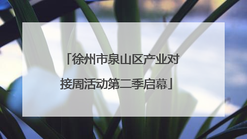 徐州市泉山区产业对接周活动第二季启幕
