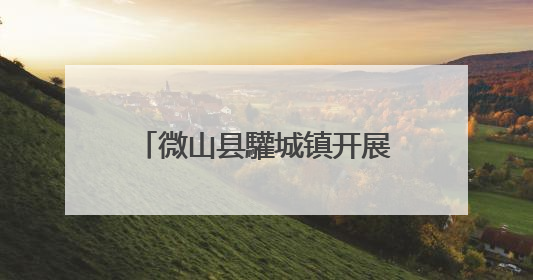 微山县驩城镇开展食品安全专项检查