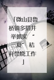 微山县鲁桥镇多措并举抓实 “三夏” 秸秆禁烧工作