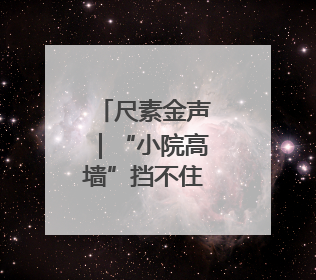 尺素金声｜“小院高墙”挡不住中国创新发展步伐