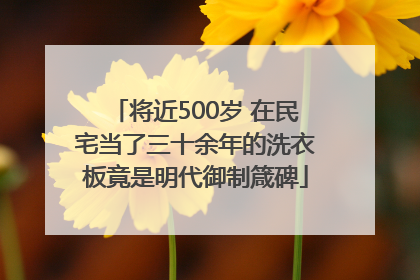 将近500岁 在民宅当了三十余年的洗衣板竟是明代御制箴碑
