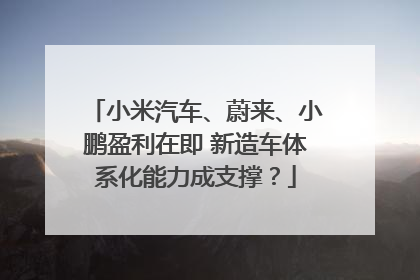 小米汽车、蔚来、小鹏盈利在即 新造车体系化能力成支撑？