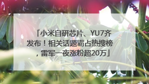 小米自研芯片、YU7齐发布！相关话题霸占热搜榜，雷军一夜涨粉超20万