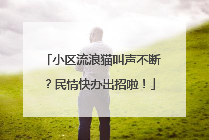 小区流浪猫叫声不断？民情快办出招啦！