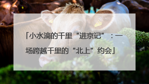 小水滴的千里“进京记”：一场跨越千里的“北上”约会
