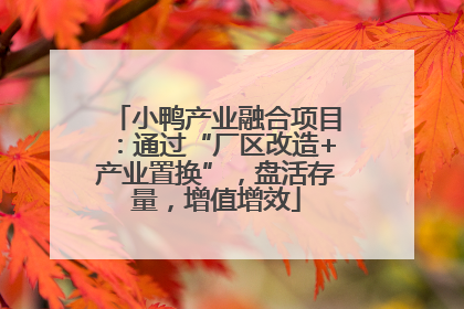 小鸭产业融合项目：通过“厂区改造+产业置换”，盘活存量，增值增效