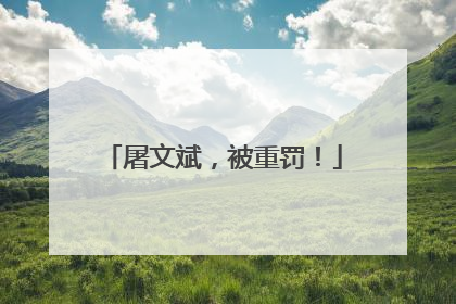 屠文斌，被重罚！