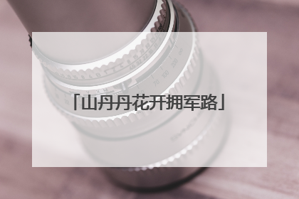 山丹丹花开拥军路