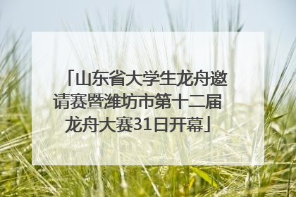 山东省大学生龙舟邀请赛暨潍坊市第十二届龙舟大赛31日开幕