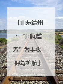 山东德州：“田间警务”为丰收保驾护航