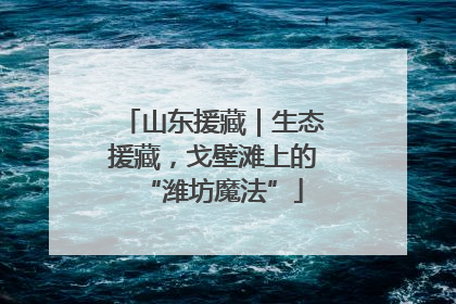 山东援藏｜生态援藏，戈壁滩上的“潍坊魔法”