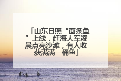 山东日照“面条鱼”上线，赶海大军凌晨点亮沙滩，有人收获满满一桶鱼