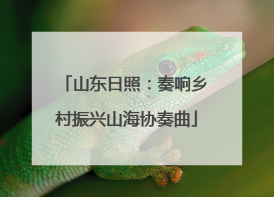 山东日照：奏响乡村振兴山海协奏曲