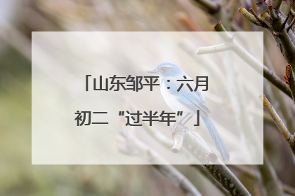 山东邹平：六月初二“过半年”