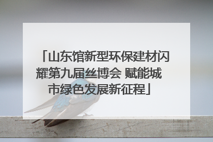 山东馆新型环保建材闪耀第九届丝博会 赋能城市绿色发展新征程