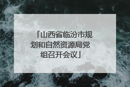 山西省临汾市规划和自然资源局党组召开会议