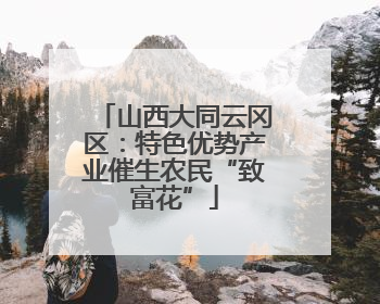 山西大同云冈区：特色优势产业催生农民“致富花”